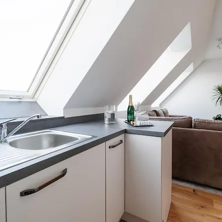 Apartment Symphony 39 - Modern Loft With Terrace And Grill In Location Vienna