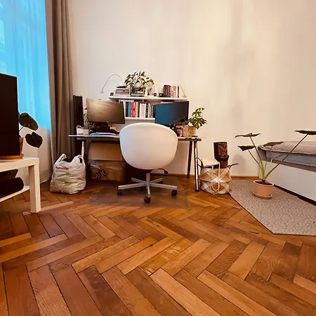 Vienna-altbau Studio Fully Refurbished *