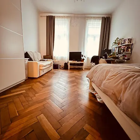 Vienna-altbau Studio Fully Refurbished