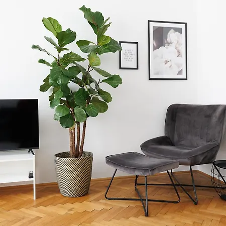 #29 Heaven Messe/prater Apartment