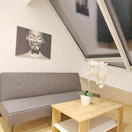 Cozy In Center Dw19 Homestay Vienna
