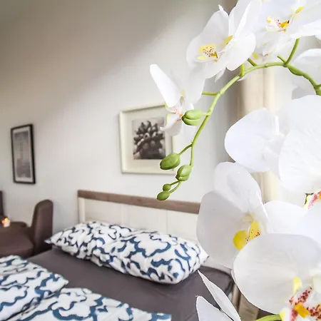 Homestay Comfortable In The Alterlaa Area Lv6 Vienna
