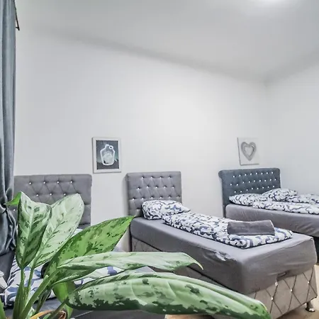 Apartment Z Elite Hn *