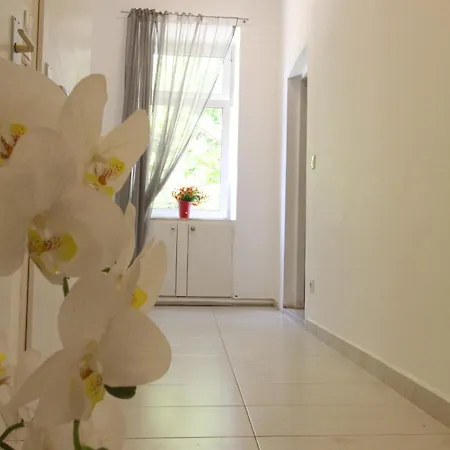 Ubytování v soukromí Cozy In Floridsdorf Area Pr4 *