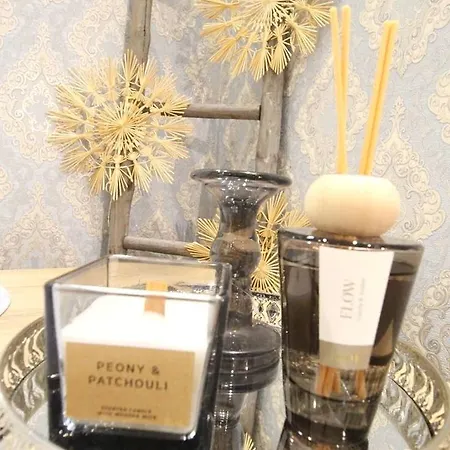 Luxurious In Center Kn Vienna