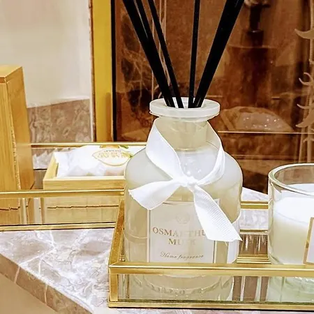 Luxurious In Center Kn Vienna