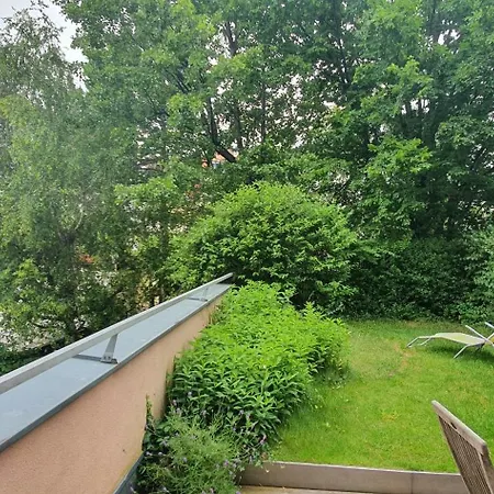 Ruthensteiner *