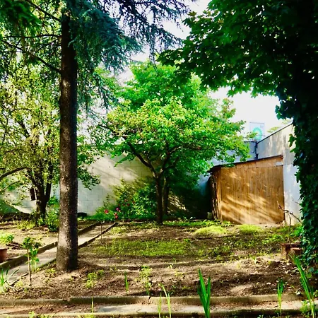 U6 Schoepfwerk 7 Homestay