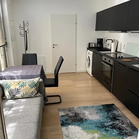 Studio Brigitte Apartment Vienna