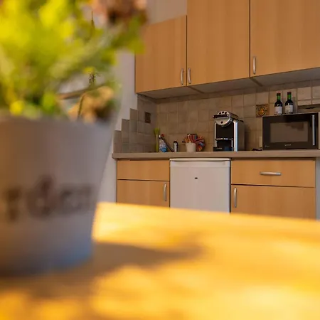 Haus Sanz Guest house