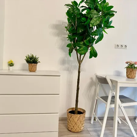 Apartment Stylish Schonbrunn - Free Underground Parking *