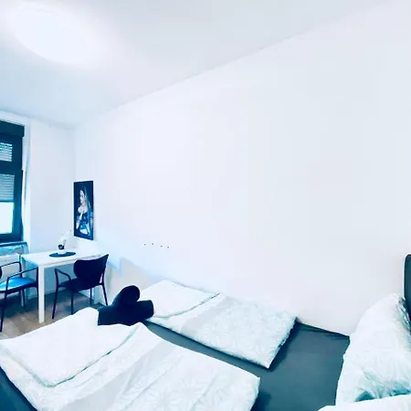 Spacious 4br Apt, Up To 15p 15min To Danube River Vienna