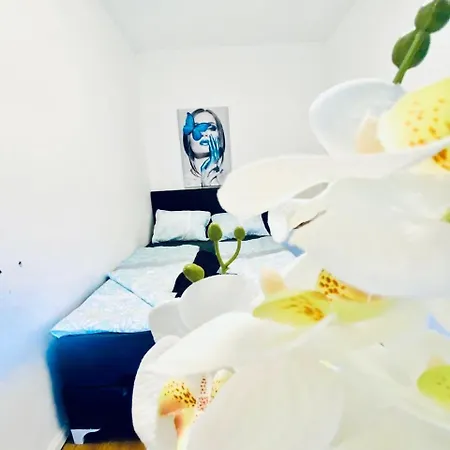Spacious 4br Apt, Up To 15p 15min To Danube River Apartment