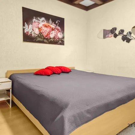 Four-bedroom, Four King-size Comfort Apartment Vienna