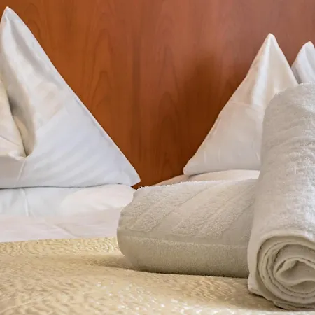 Hotel Corvinus - Newly Renovated 4*