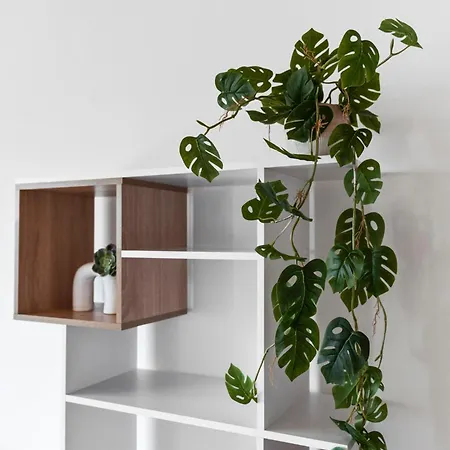 Apartment Calm&comfort Nr5 In