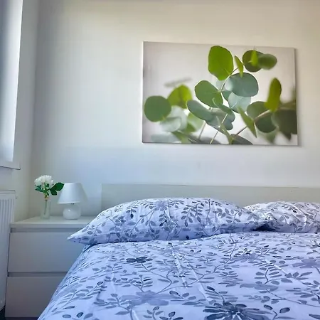 90 M2 Central With Balcony Vienna