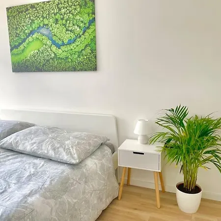 90 M2 Central With Balcony Apartment Vienna