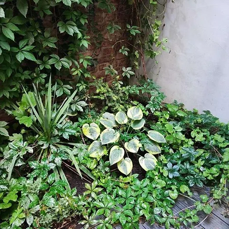With Unique 40m2 Garden & Self Check In * Vienna