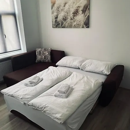 Apartamento Kleine Studiowohnung In Der Braunhirschengasse Viena