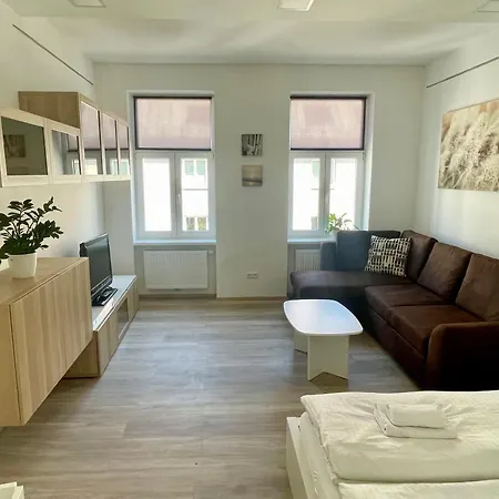 Kleine Studiowohnung In Der Braunhirschengasse Viena