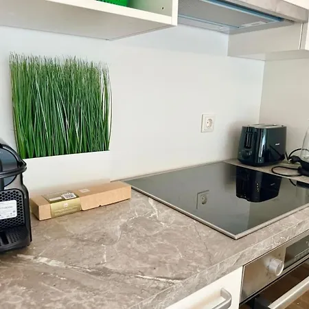 Apartament Rooftop With Balcony & Free Parking Viena
