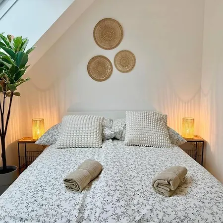 Rooftop With Balcony & Free Parking Apartament *