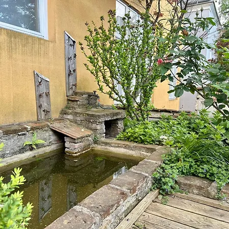 Hidden Garden - Spacious Modern - 1 Min To City Shuttle