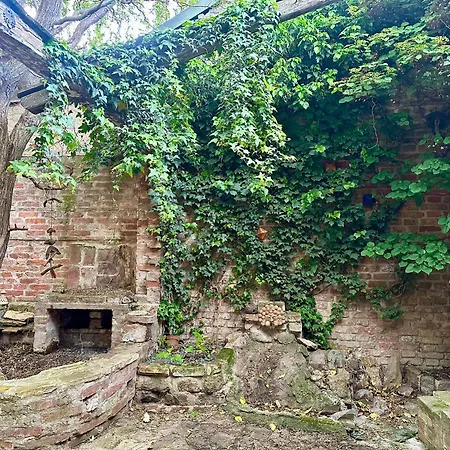 Hidden Garden - Spacious Modern - 1 Min To City Shuttle Apartment