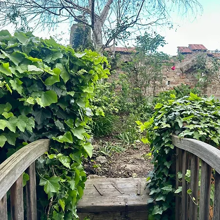 Hidden Garden - Spacious Modern - 1 Min To City Shuttle *