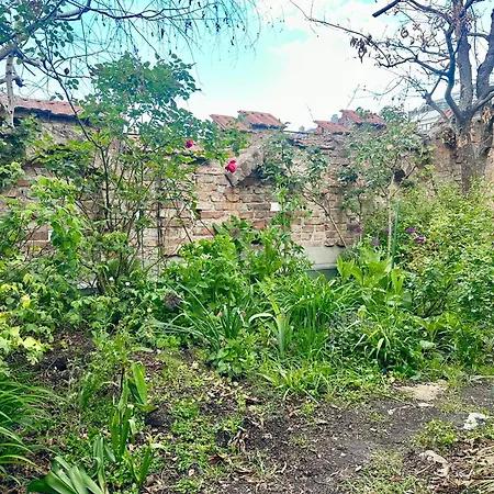 Apartment Hidden Garden - Spacious Modern - 1 Min To City Shuttle Vienna