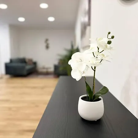 Apartment Stylish Central 2 Bedroom *