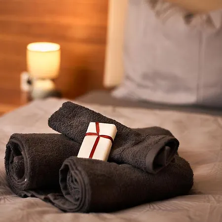 Prestige Luxury W Free Parking In Innere Stadt Apartamento Viena