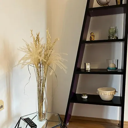 Apartment Stylish In Entire *