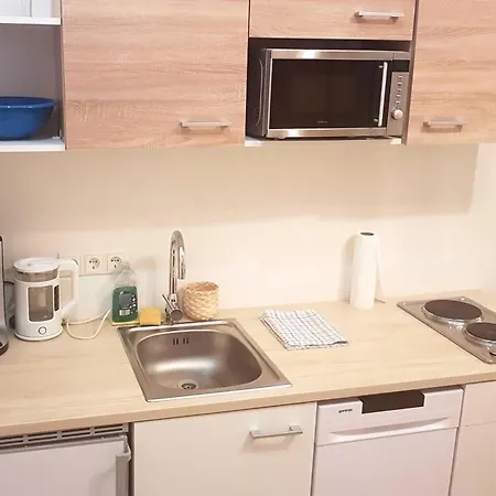 Sobieski District-1 Ring Apartment Vienna