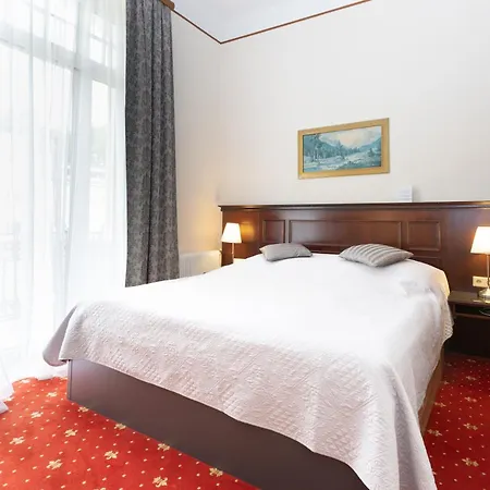 Hotel Viktoria Schoenbrunn 3*