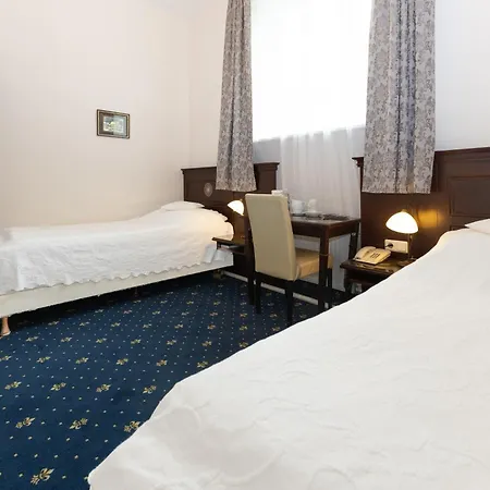 Hotel Viktoria Schoenbrunn 3*