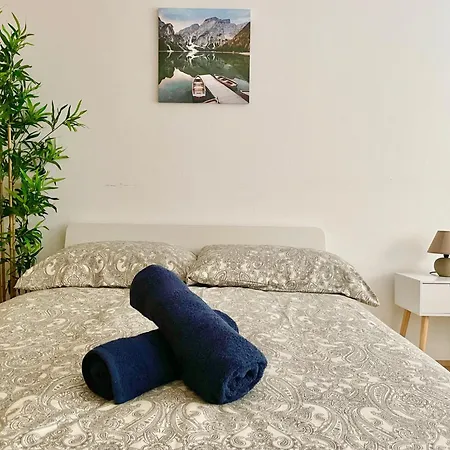 Spacious Flat Near Akh And Metro Apartment