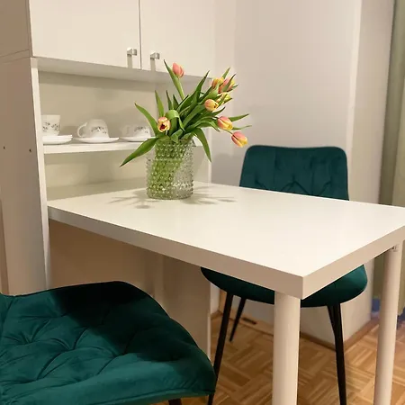 Apartment Beautiful Flat Location Vienna