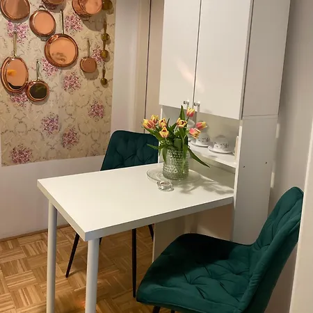 Beautiful Flat Location Viena