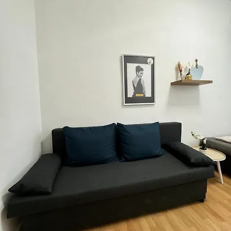 Apartment Comfy In A Shared Apt, 8min To Rathausplatz Vienna