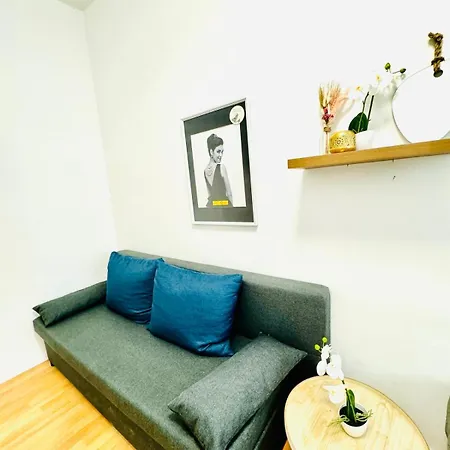 Apartamento Comfy In A Shared Apt, 8min To Rathausplatz Viena