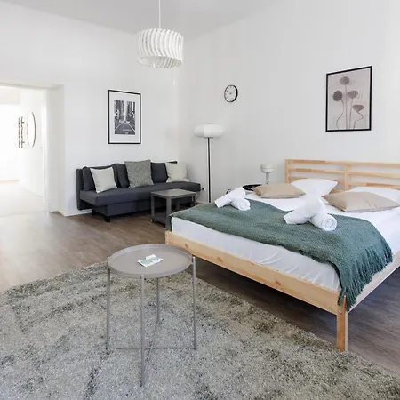 Grosszuegiges City-apartment Apartment