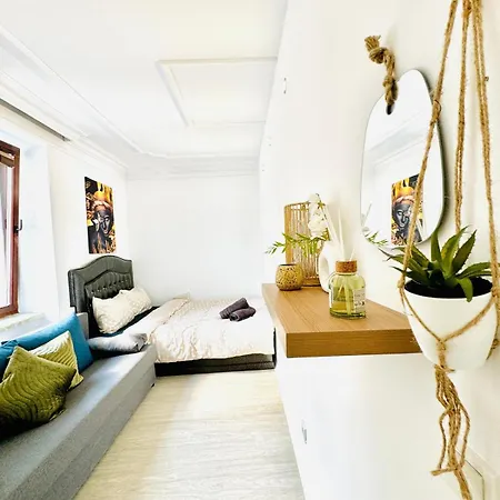 Apartment Spacious 4br For Up To 12p 10min To Fac Platz