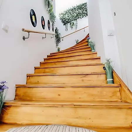 Apartment Central 4br Apt With Terrace, 10min Walk To Augarten *