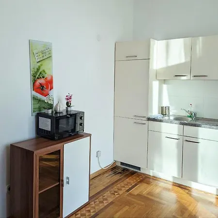 Apartment Schoenbrunn Palace Free Parking And 24h Check-in Wien