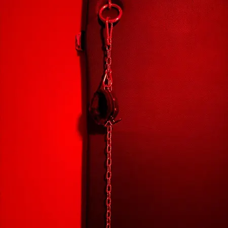 50 Shades Of *