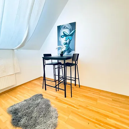 In A Shared Apt 6-min Drive To Schoenbrunn Apartment Vienna