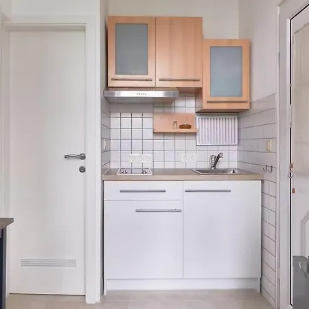Studio-apartment Mit Garten Apartment