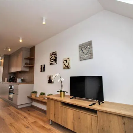 Apartment 2 Floor Rooftop With Terrace *